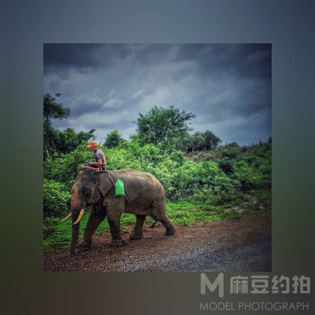 纪实模特
