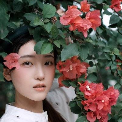 清新模特