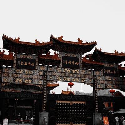 黑白模特