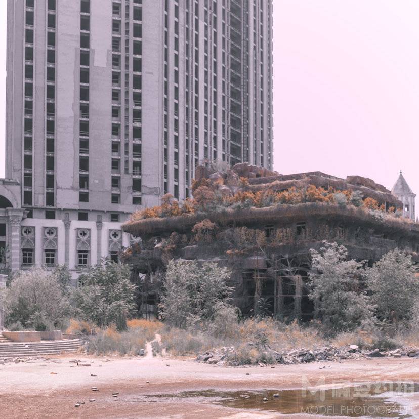 纪实模特