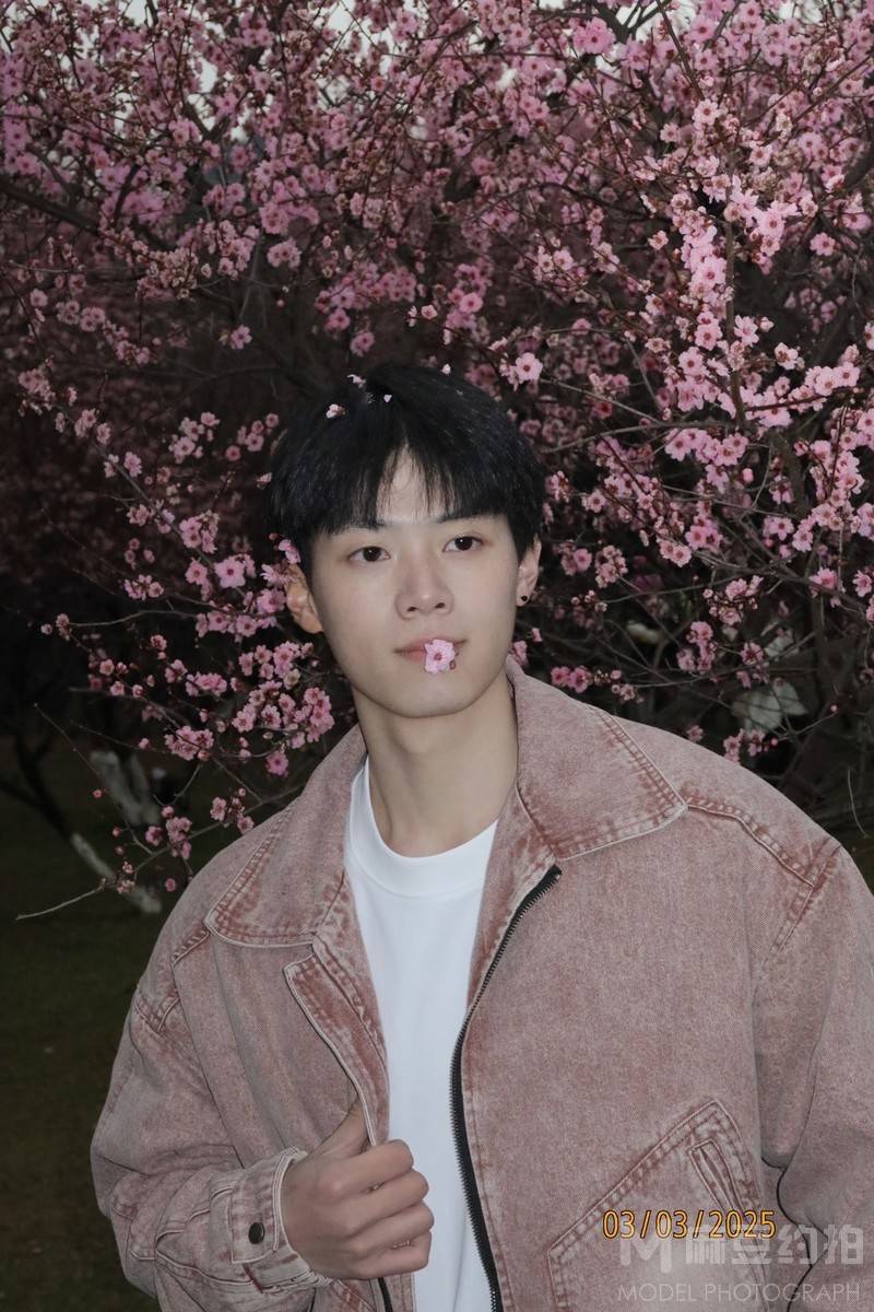 商务模特