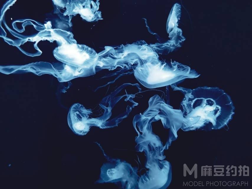 纪实模特