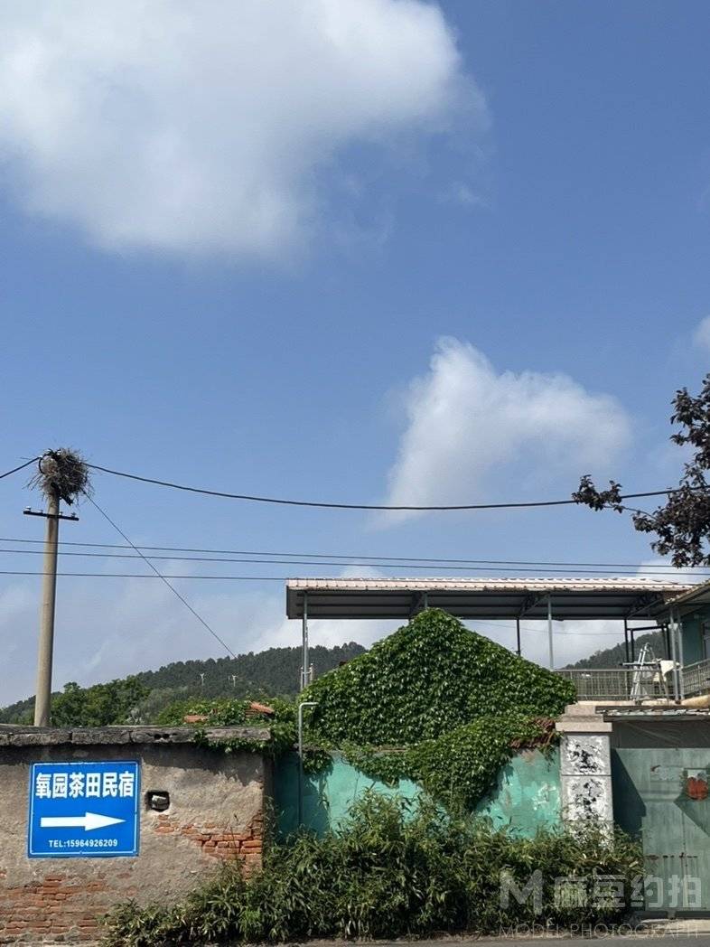 纪实模特