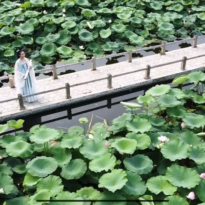 森系模特