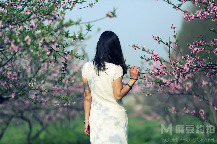 旗袍模特