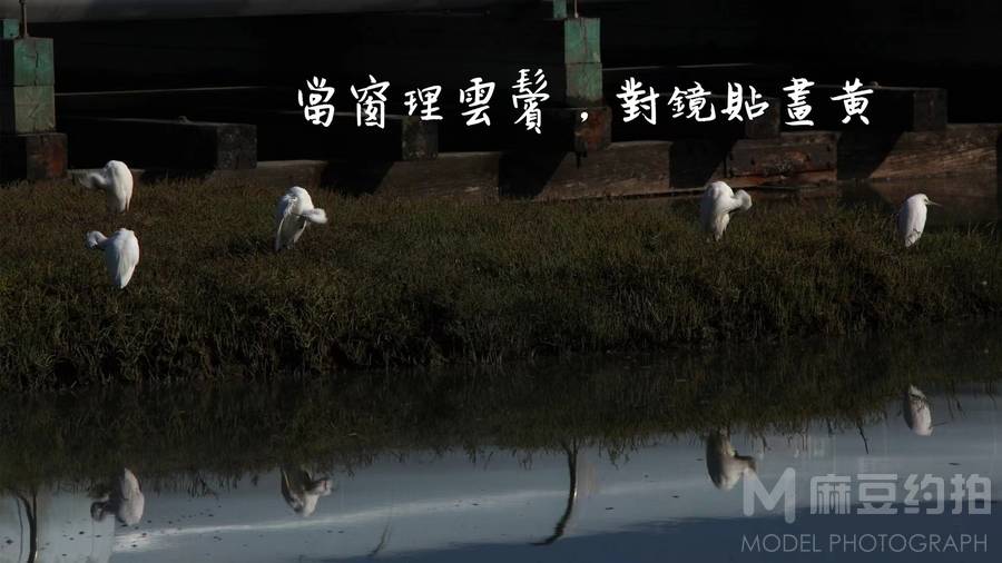 胶片模特