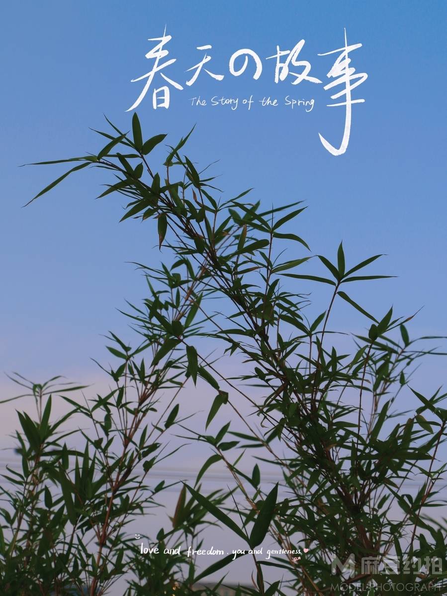黑白模特