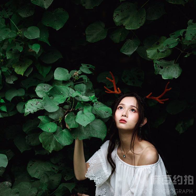 欧美模特