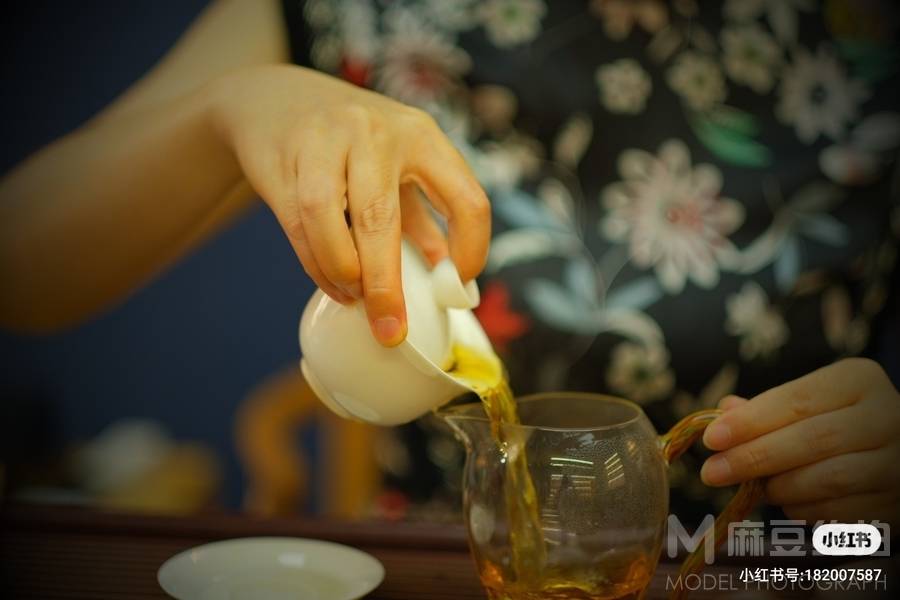 胶片模特