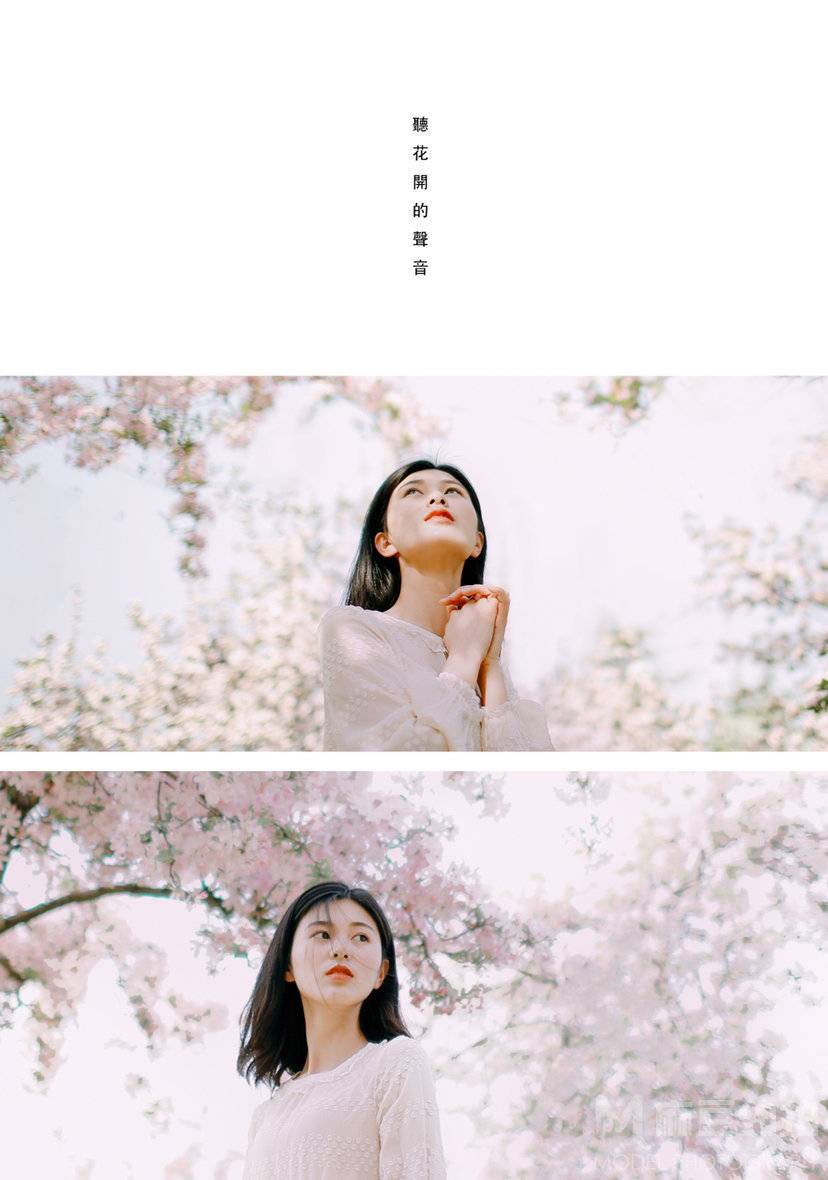 胶片模特