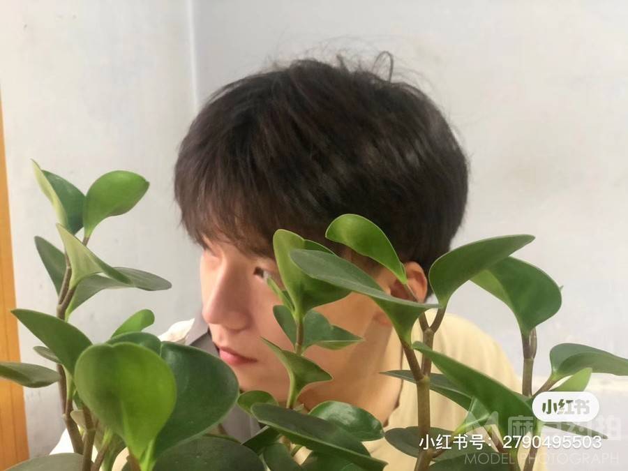 纪实模特