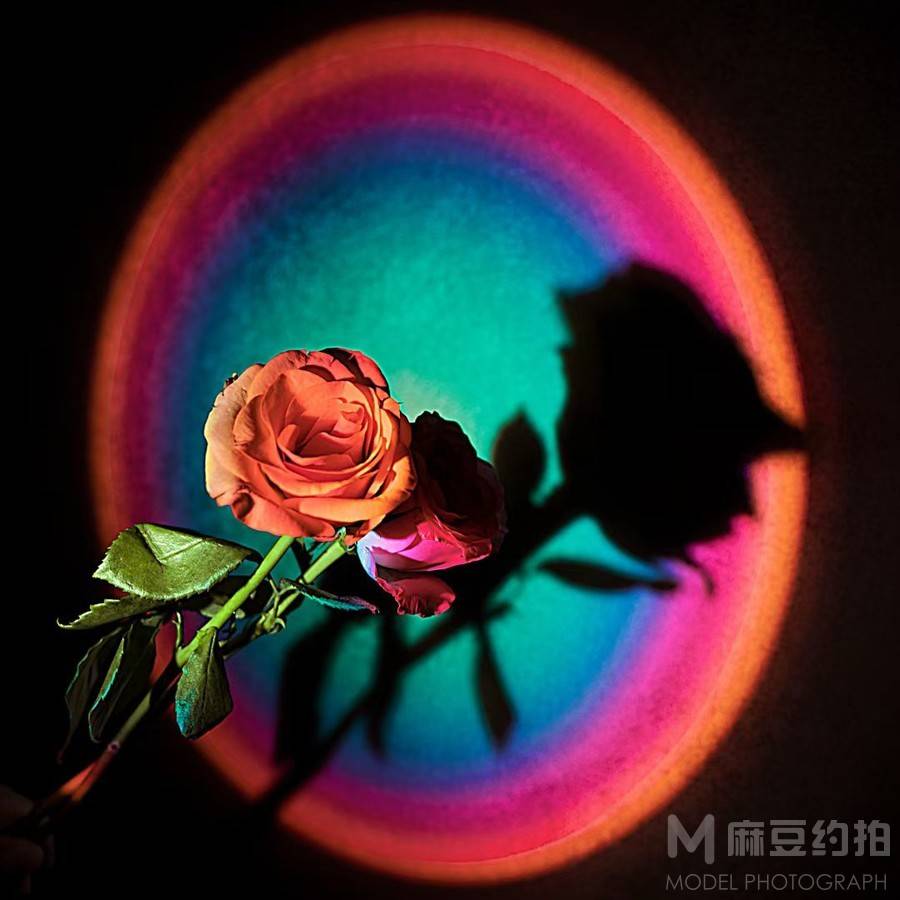复古模特