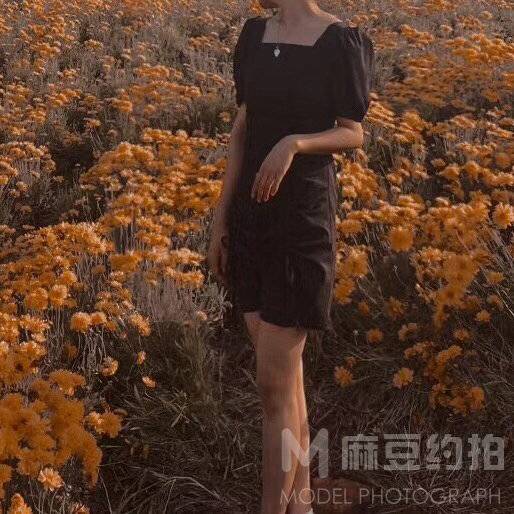 复古模特