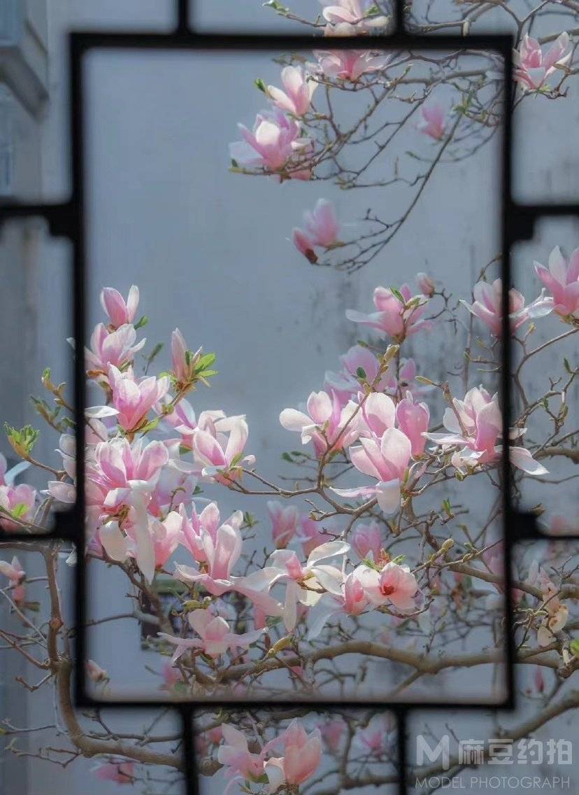 复古模特