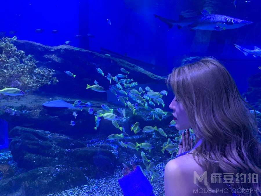 时尚模特