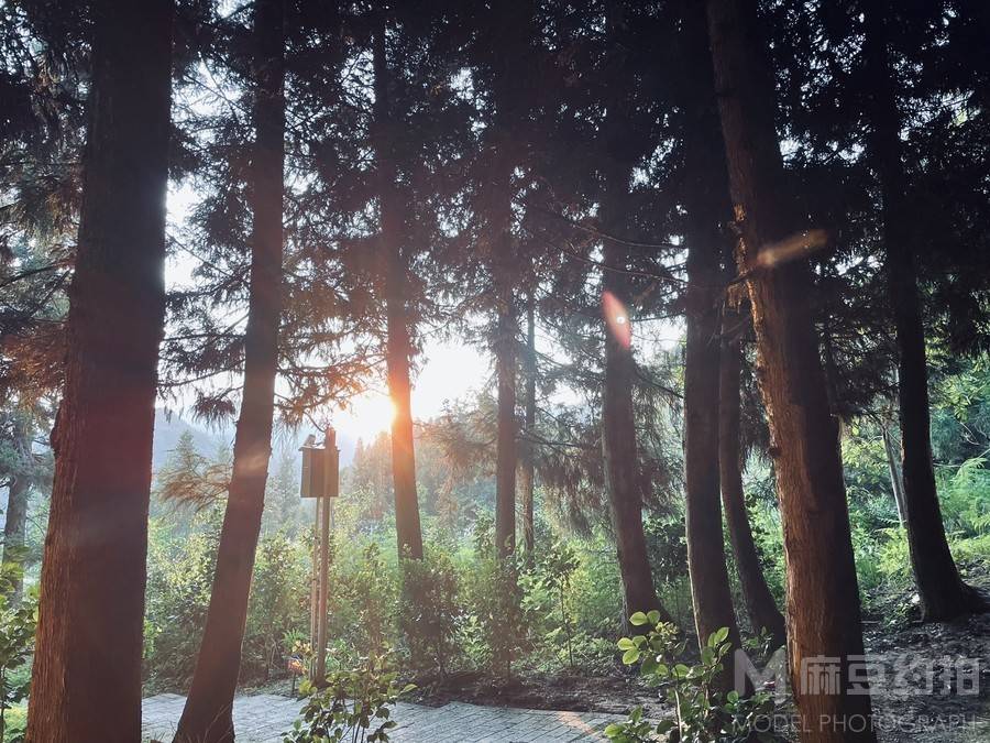 和服模特