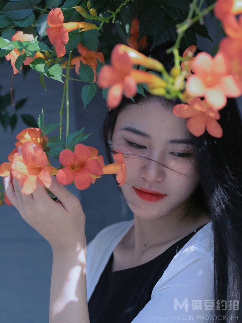 清新模特