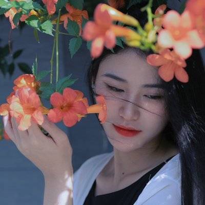 清新模特