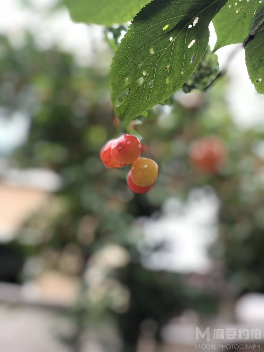 纪实模特