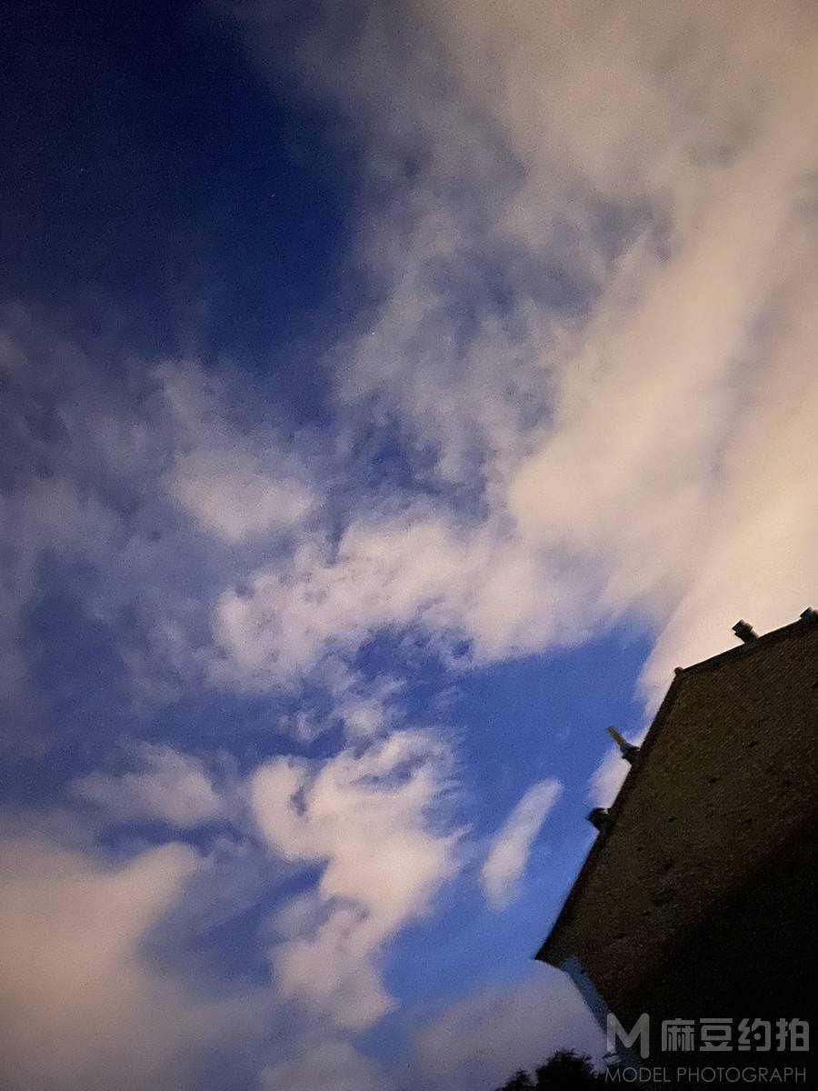 胶片模特