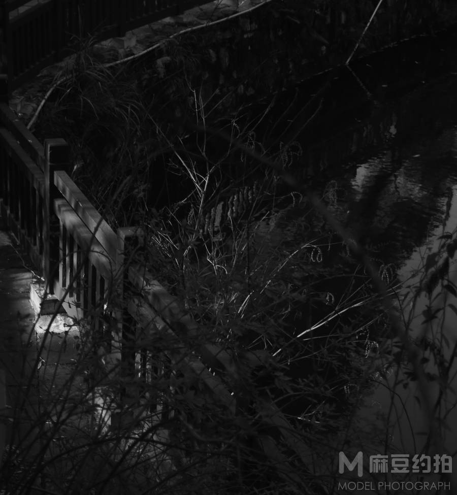 黑白模特