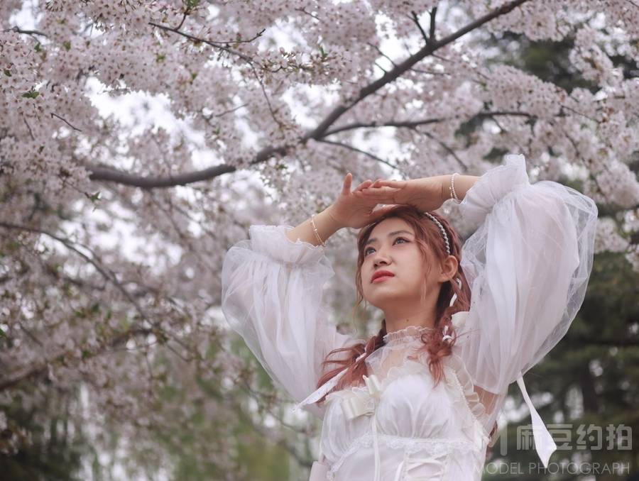 清新模特