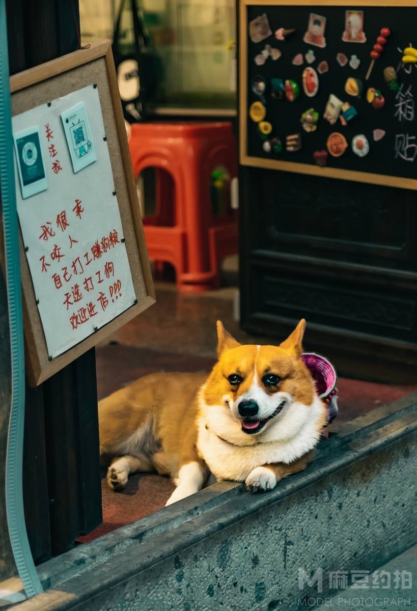 纪实模特