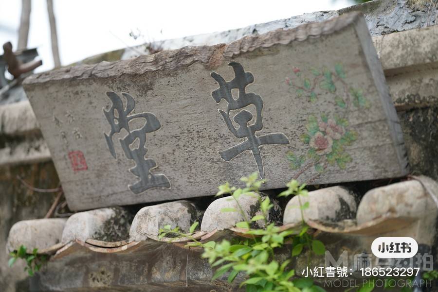 纪实模特