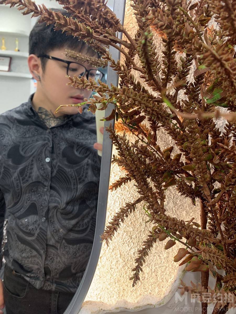 旗袍模特