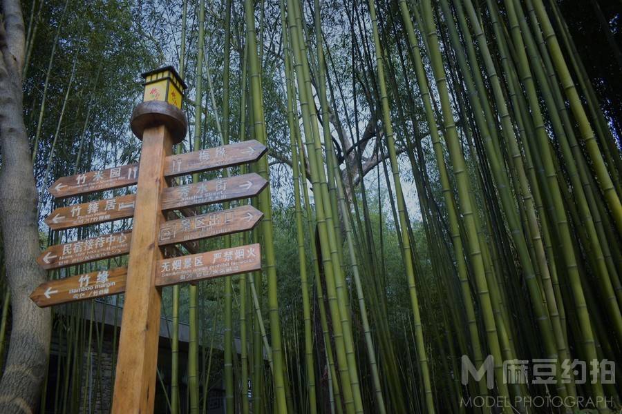 纪实模特