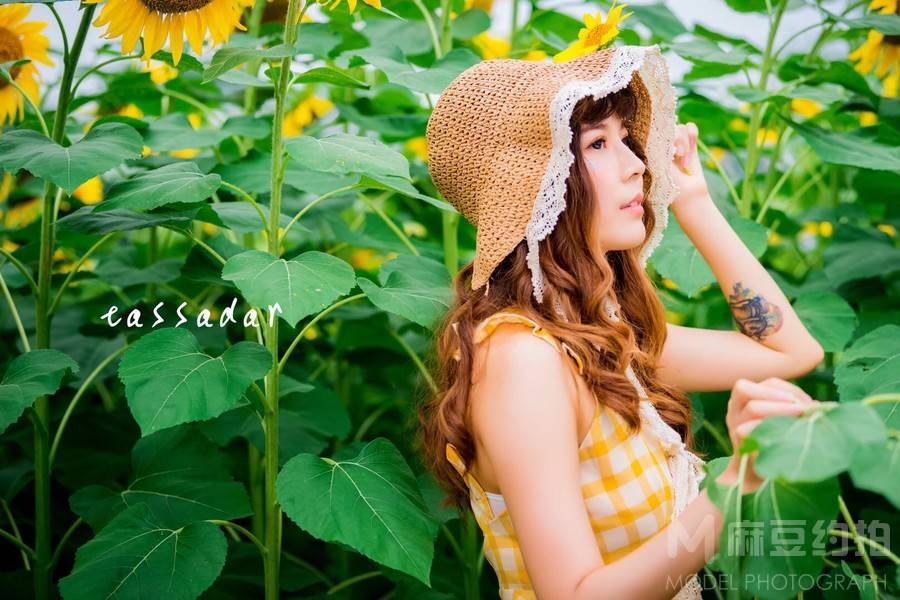 清新模特