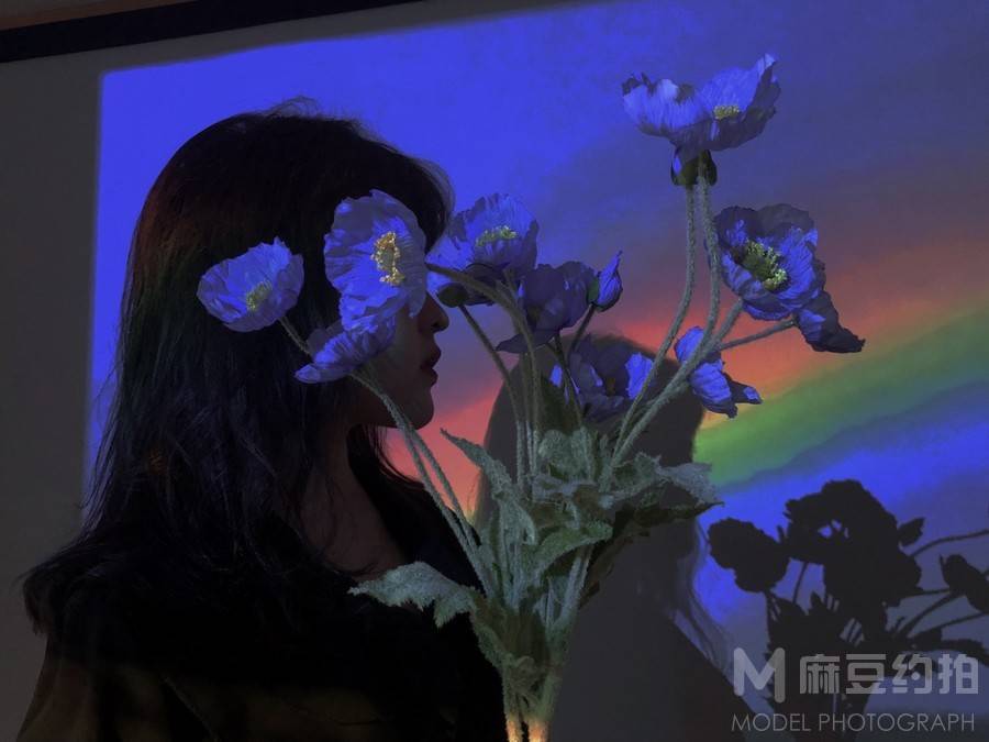 宝丽来模特
