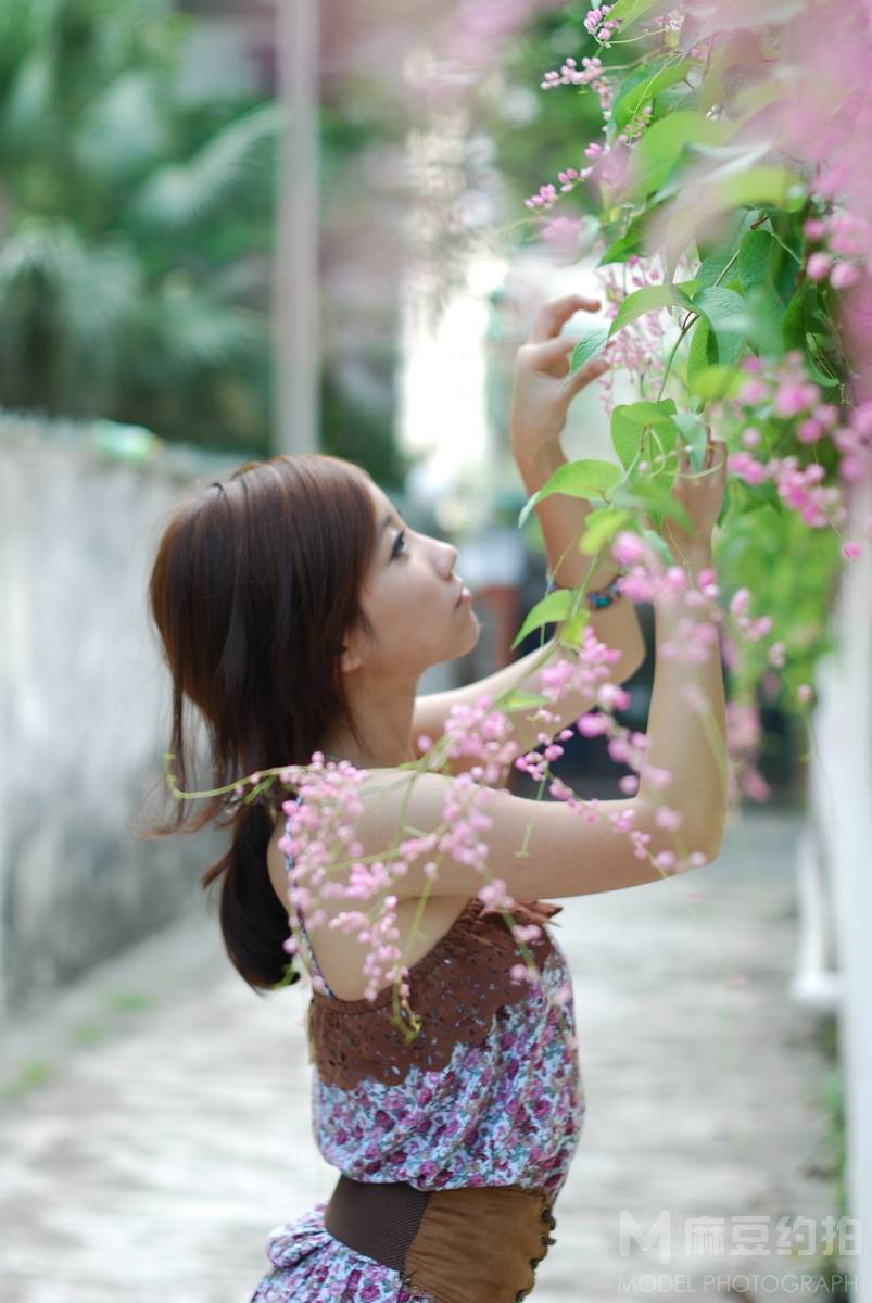 清新模特