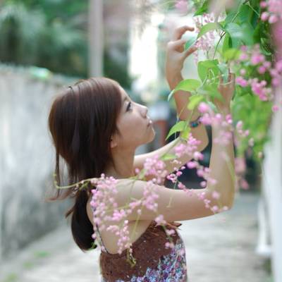 清新模特