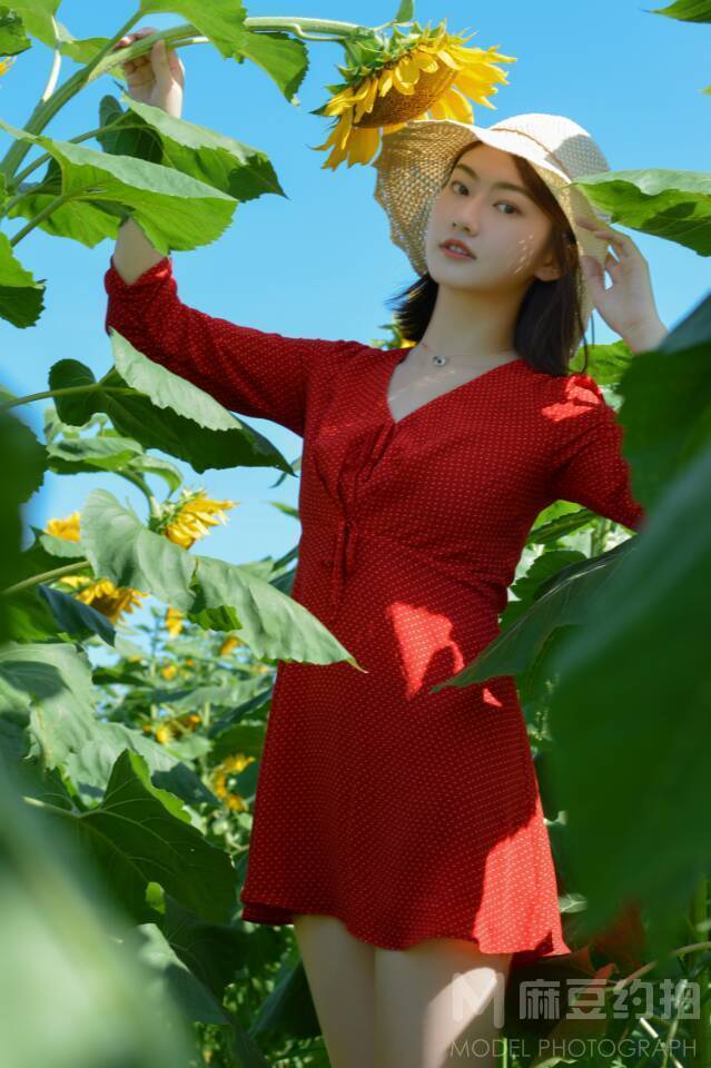 清新模特