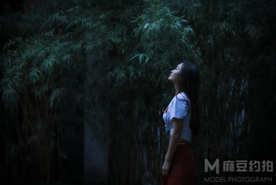 情绪模特