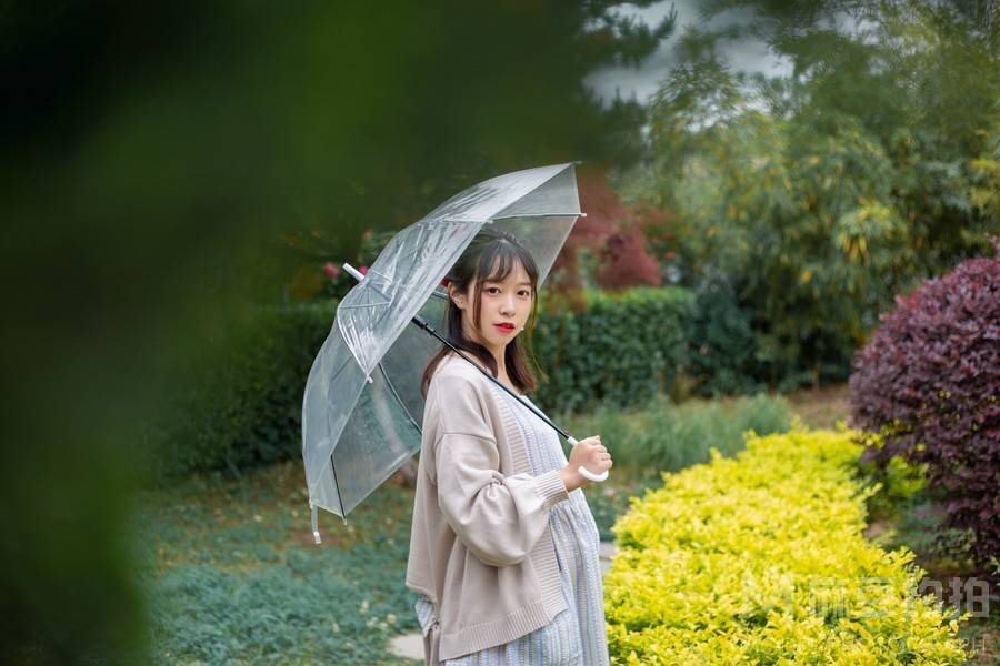 孕照模特