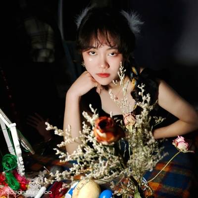 胶片模特