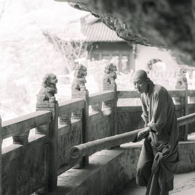纪实模特