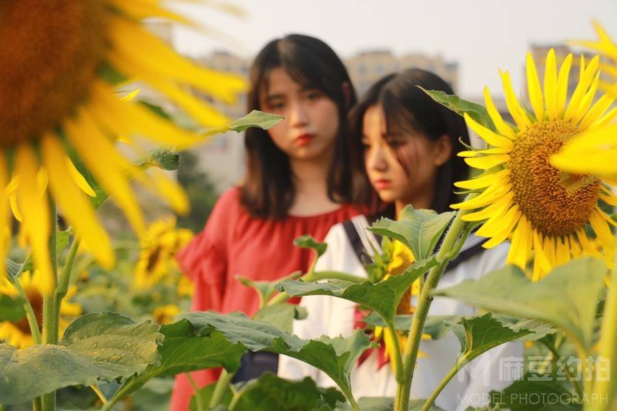 情绪模特