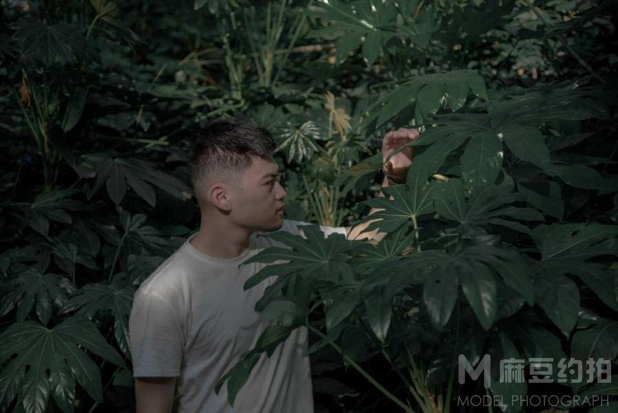 情绪模特