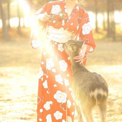 和服模特