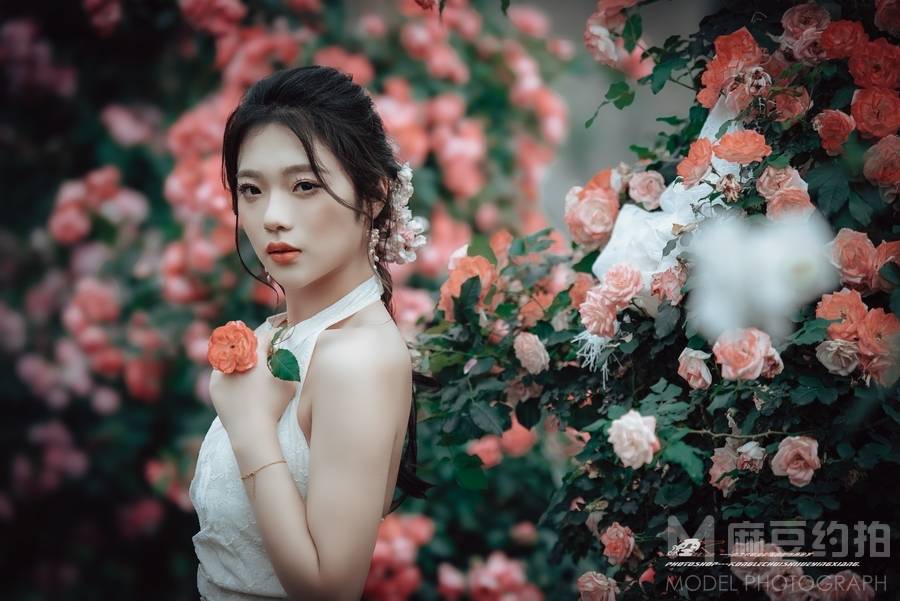 清新模特
