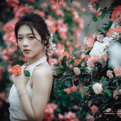 清新模特