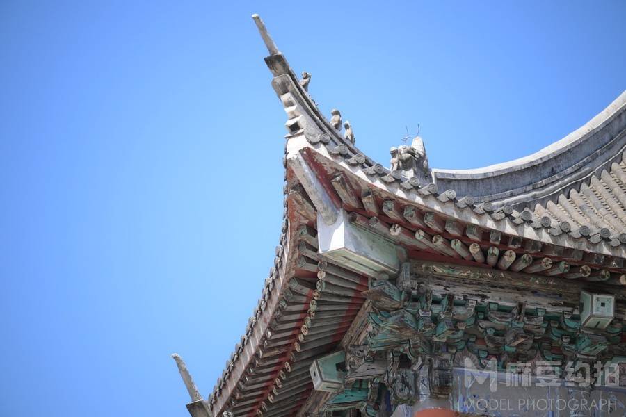 纪实模特