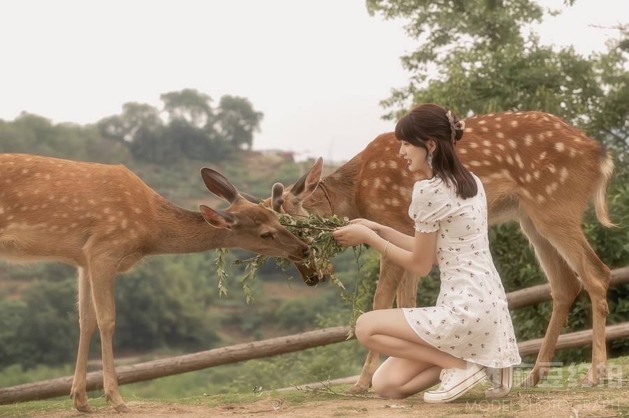 情绪模特