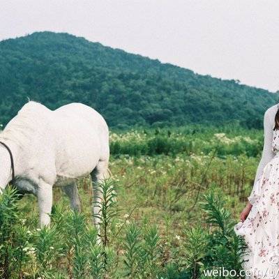 胶片模特