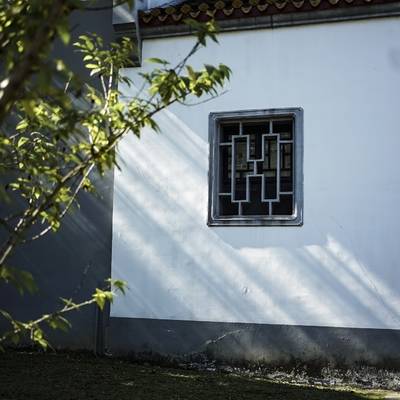 黑白模特