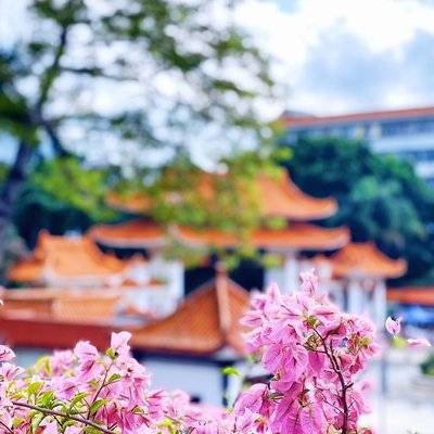 旗袍模特