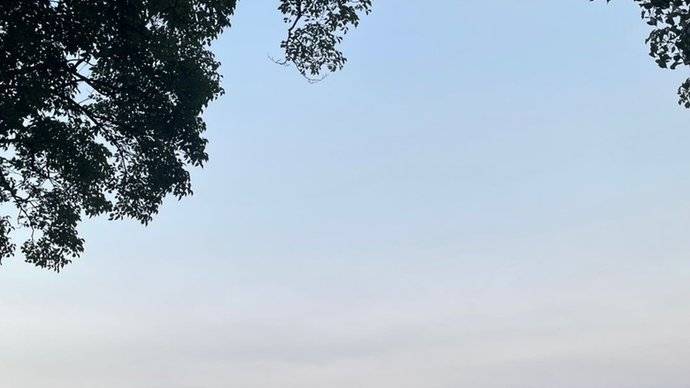 东湖梨园景区